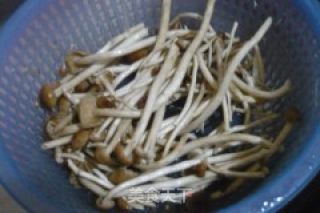 水煮茶树菇的做法步骤：5