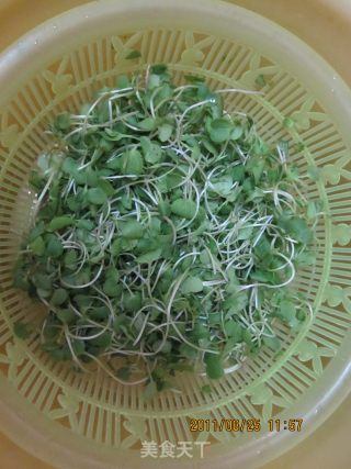 芋头煮娃娃萝卜菜的做法步骤：1
