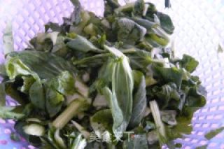 青菜烧牛肉的做法步骤：8