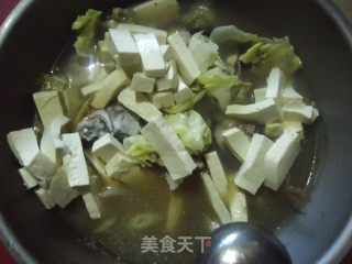 草鱼炖豆腐的做法步骤：8