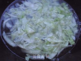 白菜炖冻豆腐的做法步骤：5