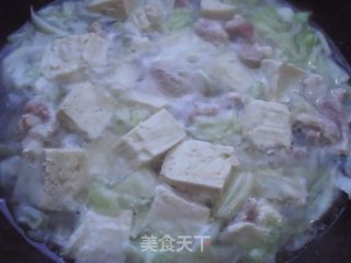 白菜炖冻豆腐的做法步骤：6