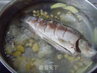 白果黄豆鲫鱼汤的做法步骤：7