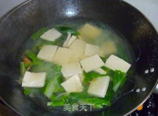 【养生汤煲】白菜粉丝豆腐汤的做法步骤：7
