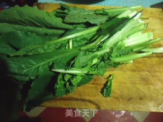 清炒小白菜的做法步骤：2