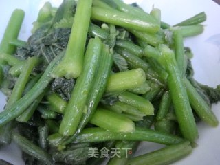 青炒南瓜苗的做法步骤：4