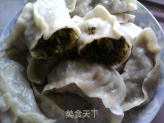 豆腐皮萝卜缨馅大蒸饺的做法步骤：12