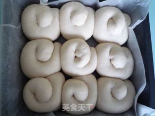 椰蓉小排包的做法步骤：4