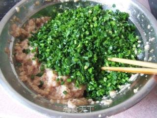 韭菜鲜肉蒸饺的做法步骤：3