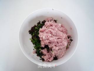 木耳青菜鲜肉饺的做法步骤：3