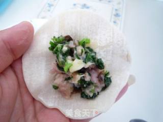 木耳青菜鲜肉饺的做法步骤：5