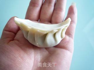 木耳青菜鲜肉饺的做法步骤：6
