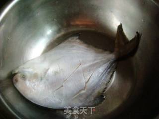 红烧鲳鱼的做法步骤：1
