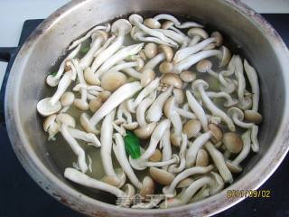 油菜蟹味菇的做法步骤：4