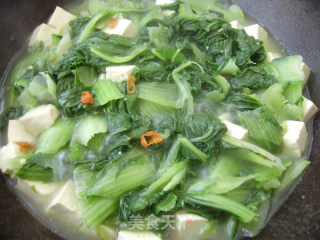 家常菜----白菜炖豆腐的做法步骤：6