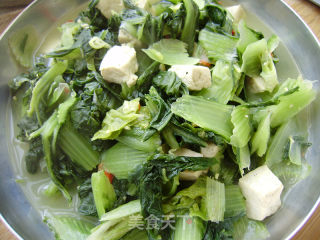 家常菜----白菜炖豆腐的做法步骤：8