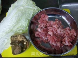 猪肉大白菜包子的做法步骤：2