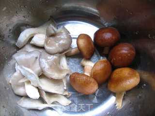 清炖蘑菇土鸡的做法步骤：2