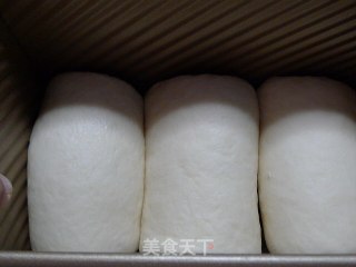 （中种法）北海道土司的做法步骤：8