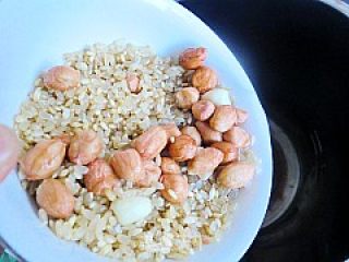 强身健体豆浆---糙米花生豆浆的做法步骤：3