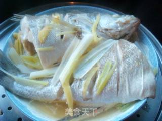 清蒸鲈鱼的做法步骤：7