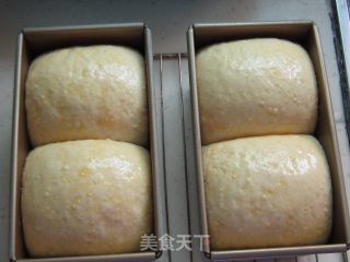 椰蓉椰浆吐司的做法步骤：8