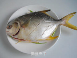 清淡营养—清蒸鲳鱼的做法步骤：4