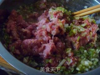 【简单制作的花样饼大全】多层牛肉芹菜馅饼的做法步骤：6