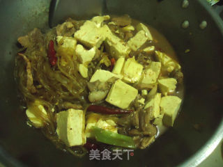 猪肉豆腐炖粉条的做法步骤：10