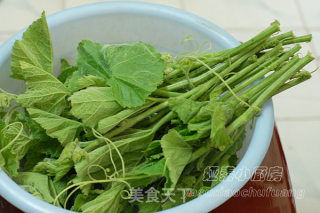 南瓜尖素汤的做法步骤：1
