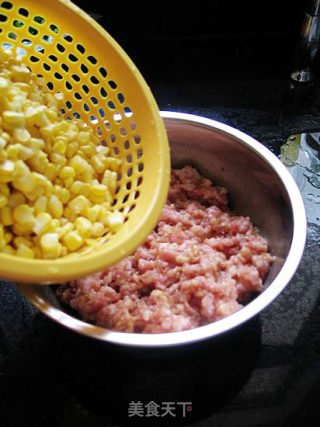 猪肉玉米饺子----第一次包的饺子的做法步骤：5