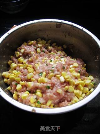 猪肉玉米饺子----第一次包的饺子的做法步骤：7