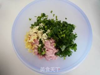 烫面饺子的做法步骤：5