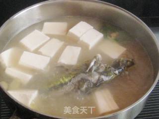昂刺鱼炖豆腐的做法步骤：6