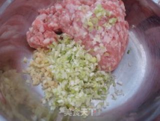【南瓜的花样年华】南瓜馅蒸饺的做法步骤：5