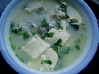 【鱼头豆腐汤】的做法步骤：4
