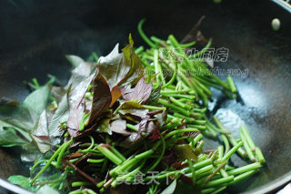 素炒红薯尖的做法步骤：5