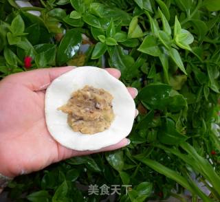 鸡肉馅饼的做法步骤：5