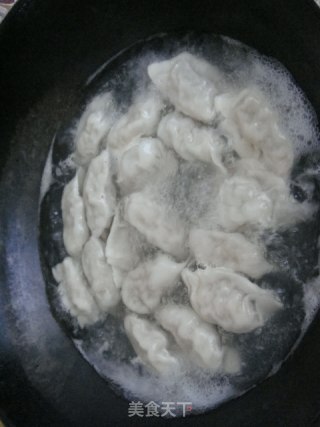 芹菜馅水饺的做法步骤：10