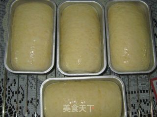 燕麦酸奶面包的做法步骤：7