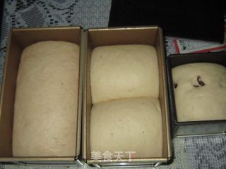 香蕉面包的做法步骤：8