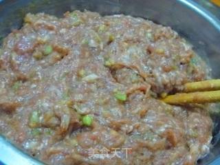 【简单制作的花样饼大全】牛肉玉米发面馅饼的做法步骤：4