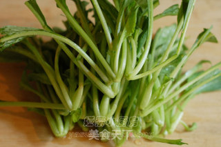 素炒萝卜菜的做法步骤：3
