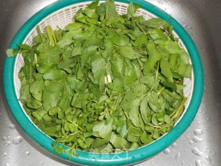 西洋菜鱼片煲的做法步骤：1