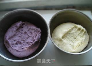 双色紫薯馒头结的做法步骤：1