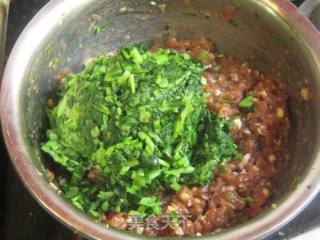 菜肉大馄饨的做法步骤：4