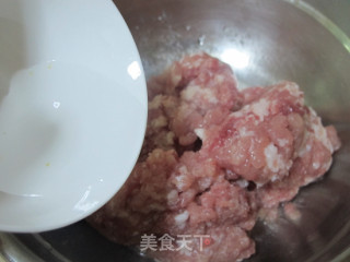 全手工圆白菜鲜肉锅贴的做法步骤：2