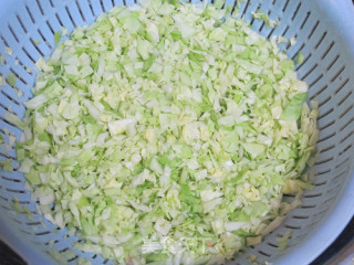 全手工圆白菜鲜肉锅贴的做法步骤：6