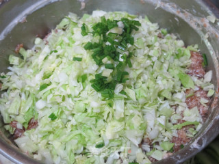 全手工圆白菜鲜肉锅贴的做法步骤：7