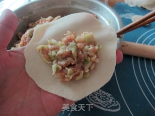 全手工圆白菜鲜肉锅贴的做法步骤：19